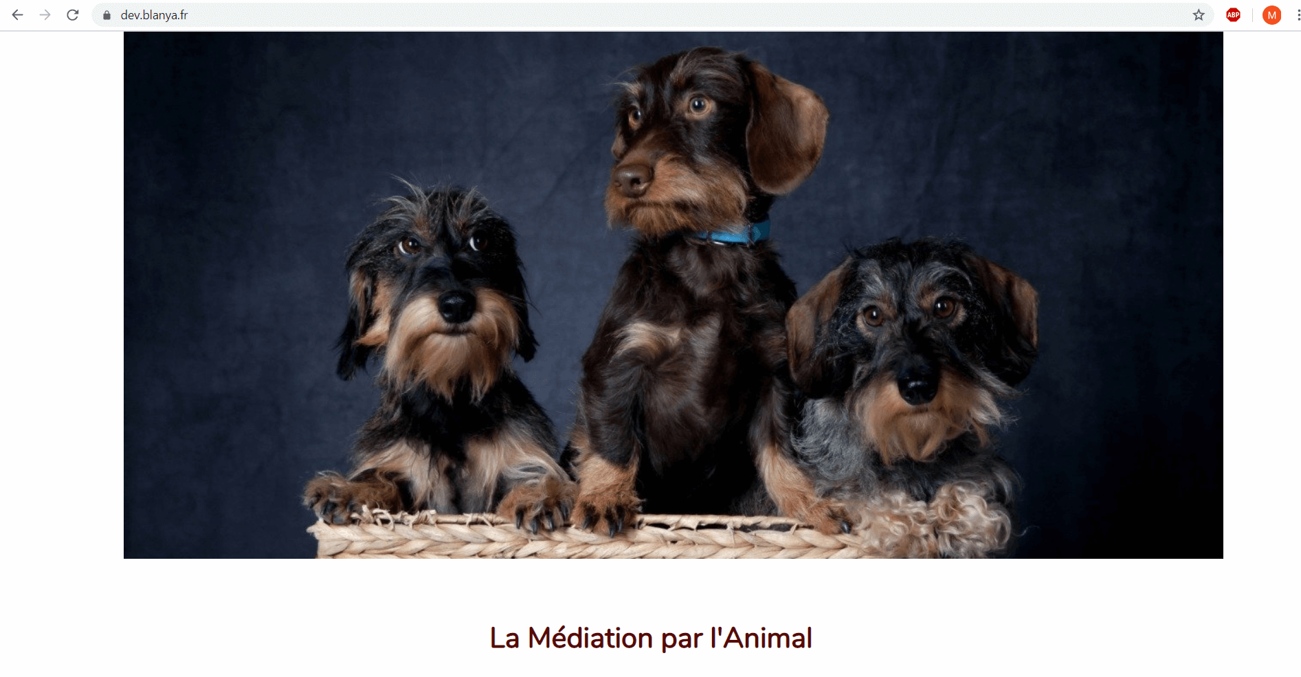 des Truffes pour des maux